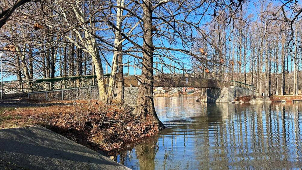 Puente de madera y un nuevo parque conectarán las personas con la naturaleza en Ruse