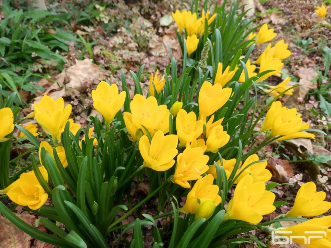Очаквайте в "Акценти" на 10 ноември: