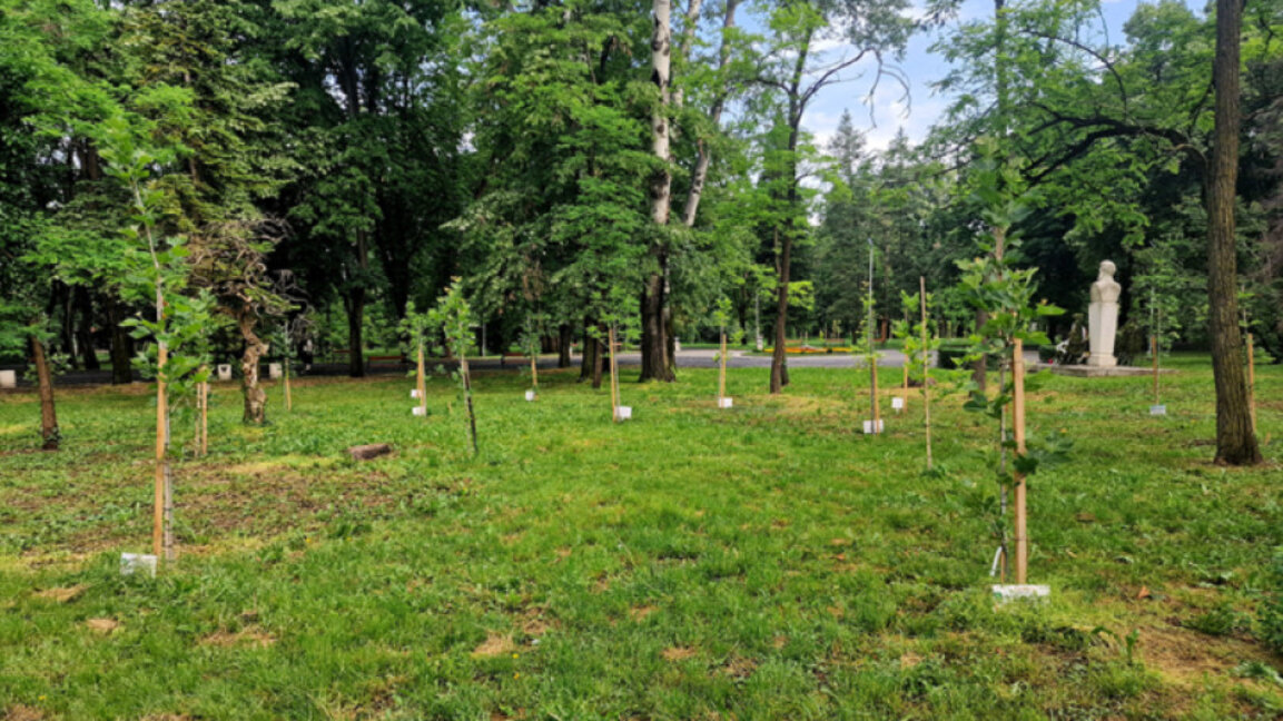 Volunteers from Gorata.bg gift 60,000 honey-yielding trees in Pleven