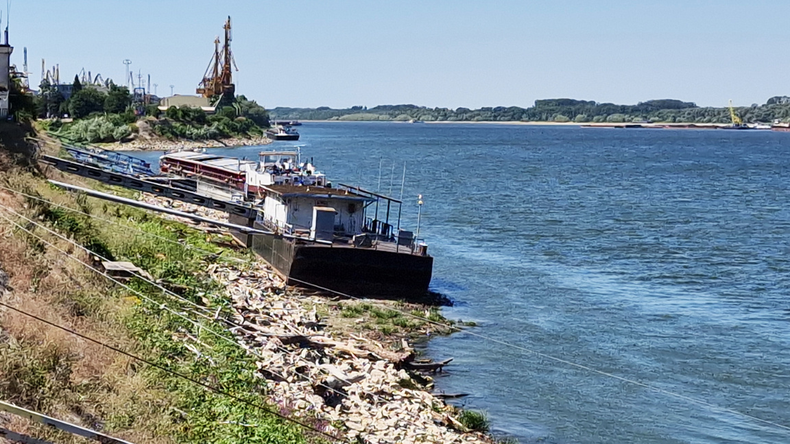 Level of the Danube continues to drop in the Bulgarian section