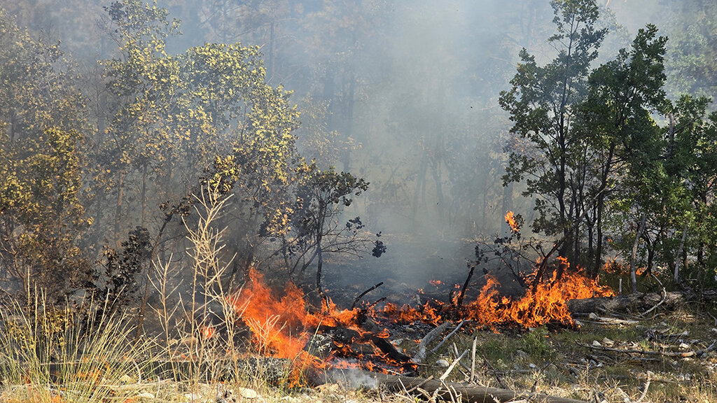 Пожарът в елховските села Стройно, Борисово и Бояново е овладян