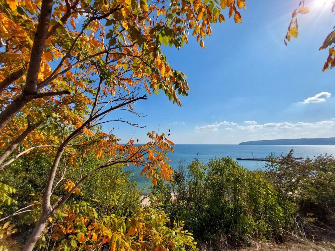 Златна есен