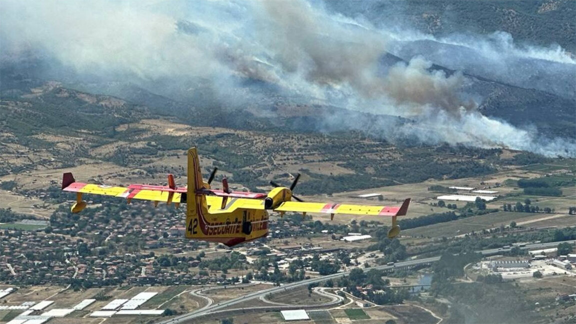 Një rekord prej 38 000 hektarësh u dogjën në vend nga zjarret e verës