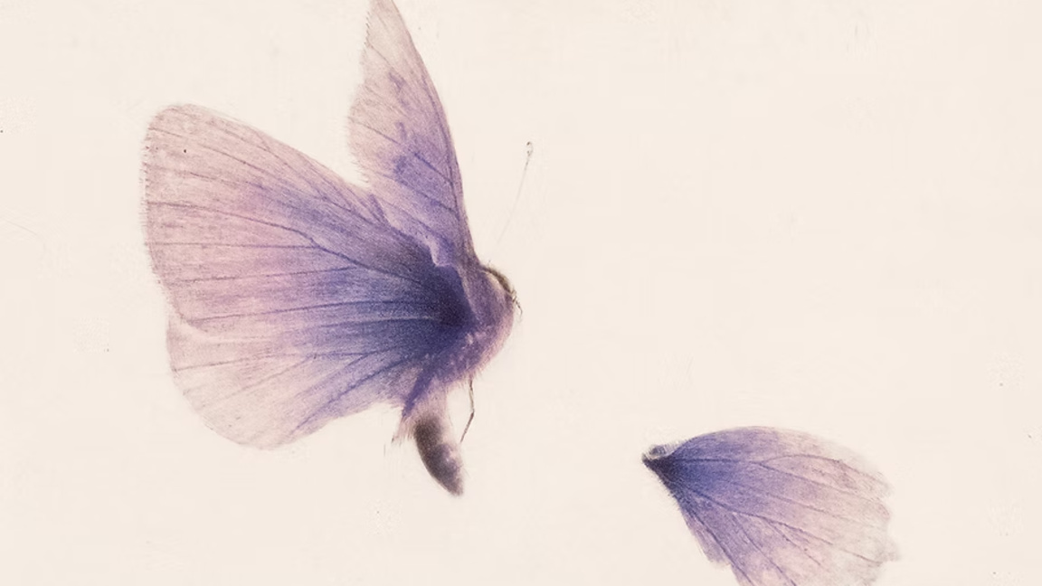 Микио Ватанабе