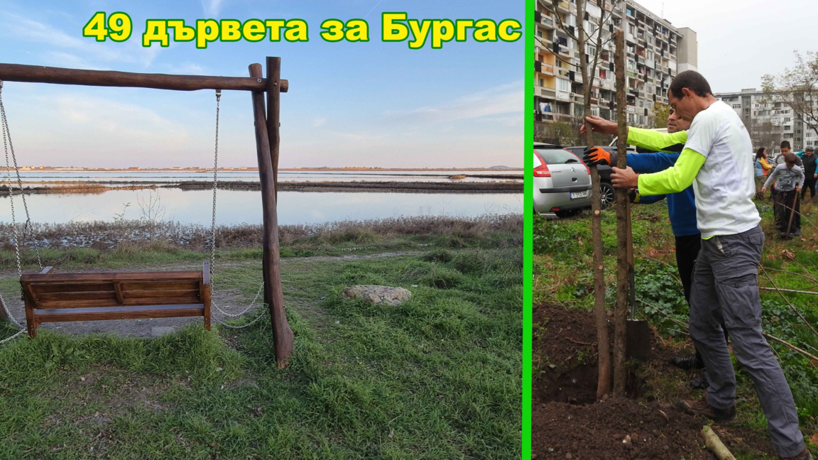"Зелена Странджа" засажда 49 дървета днес