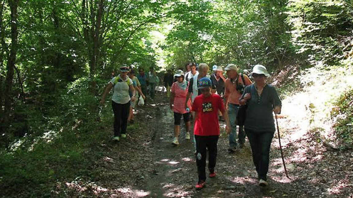 Настъпва най-приятният сезон за разходки в планината