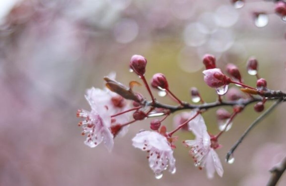 "Ден след ден" на Велики вторник