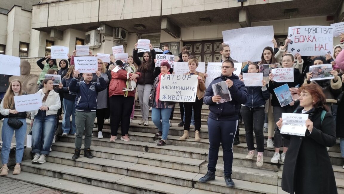 Близо 200 човека на протест във Велико Търново срещу насилието над животни