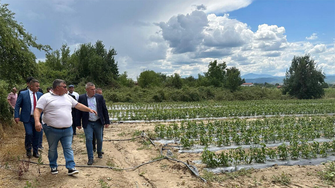 Dolu, Blagoevgrad bölgesinde 2 500 dka ekili alanı vurdu