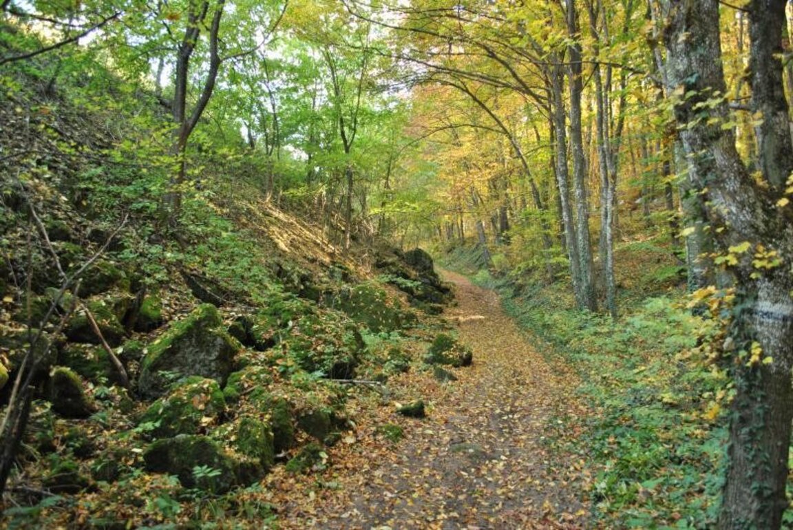 Природен парк „Шуменско плато“