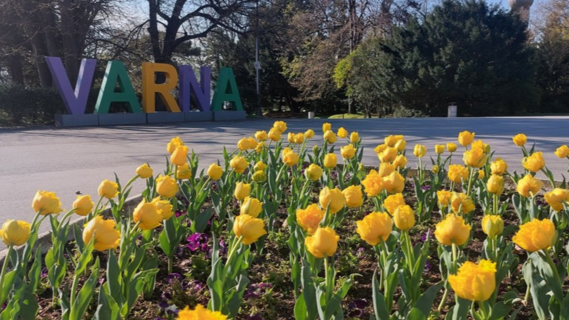 Варна