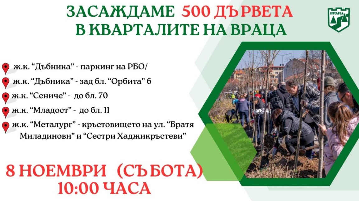 Засаждат дръвчета във Враца