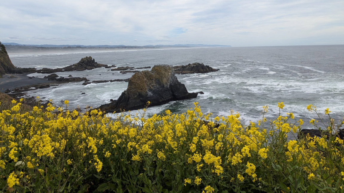 Природозащита, активизъм и образование: уроци от САЩ 