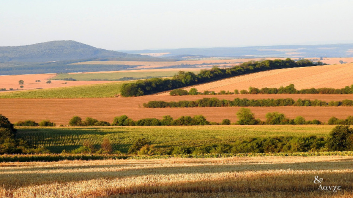 Спешна помощ за земеделските стопани