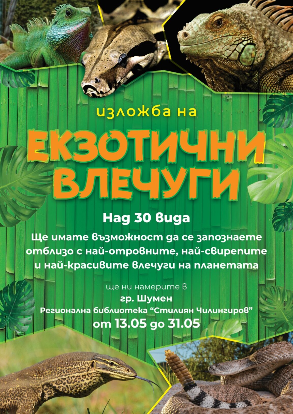 Екзотика в библиотеката