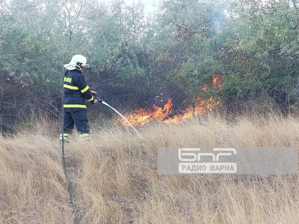 Архив