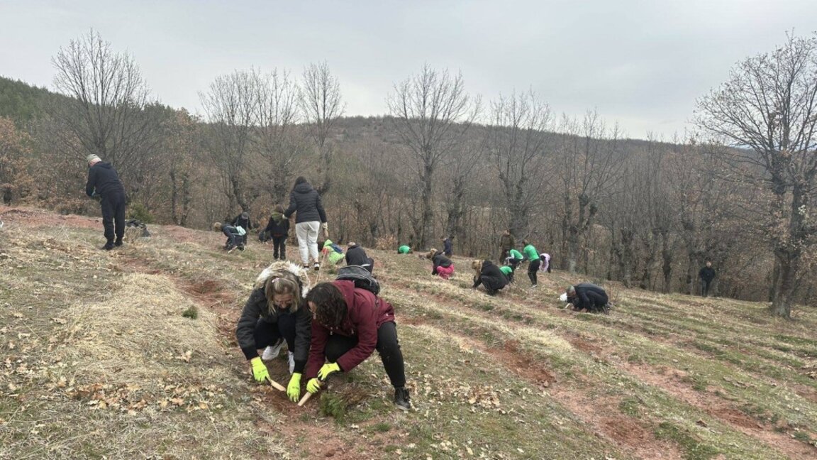 Горски служители и прокурори залесяваха заедно край Клисура