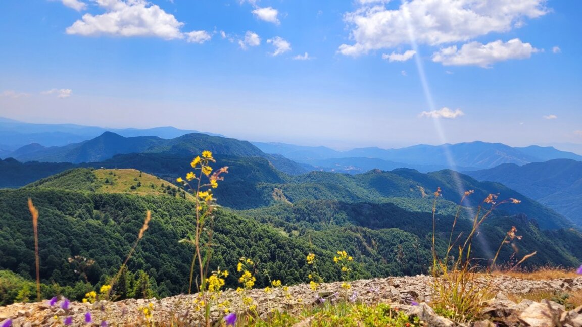 Parashikimi i motit për fundjavën