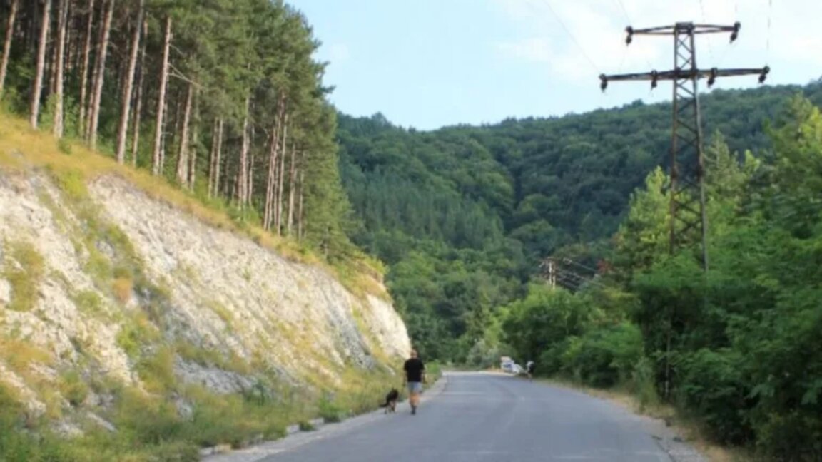 Добромир Бориславов: Голямо предизвикателство ще е да се хване избягалият хищник