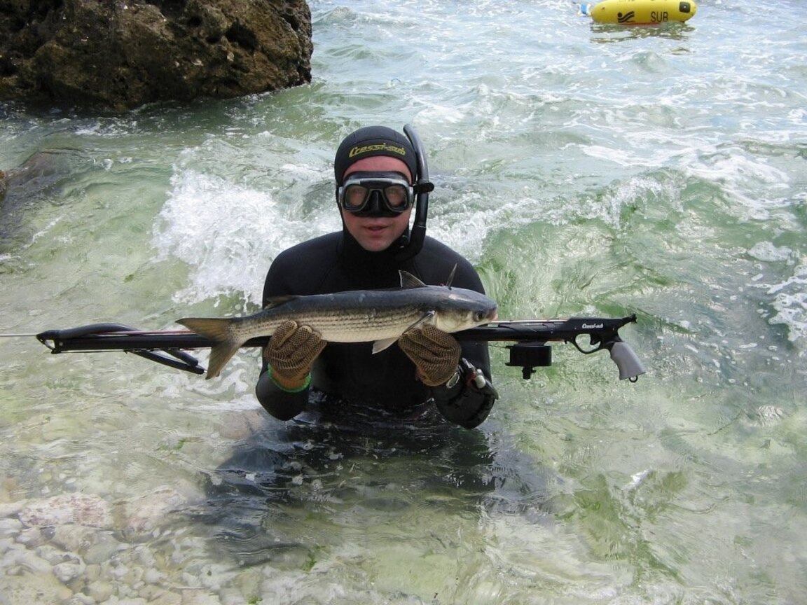 Тънкостите на подводния риболов