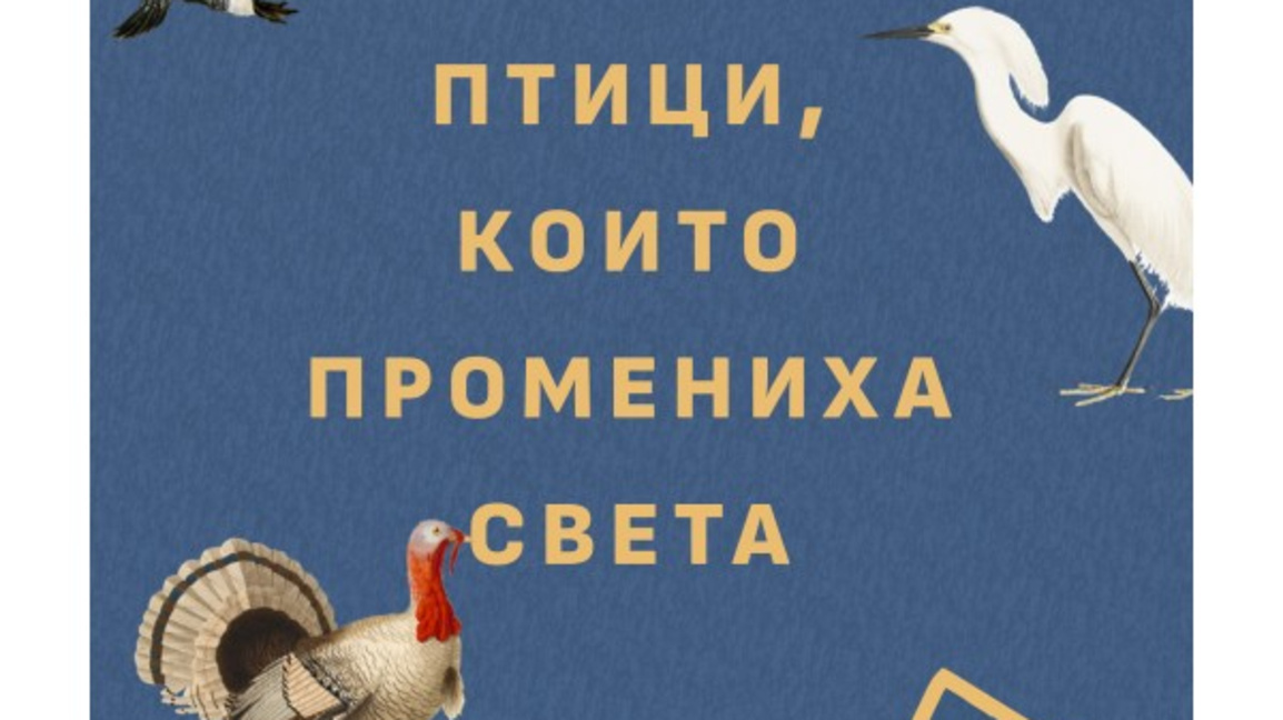 От мода до екология: как птиците променят човешкия свят