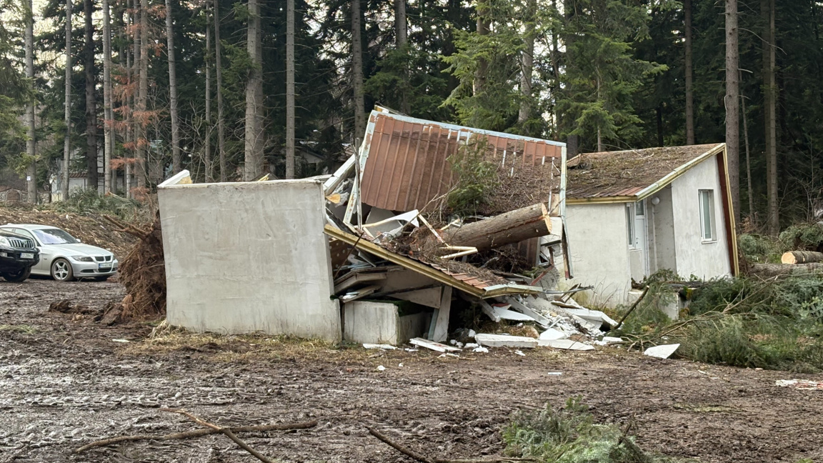 До края на деня ще разчистят повалените от вятъра дървета в Боровец