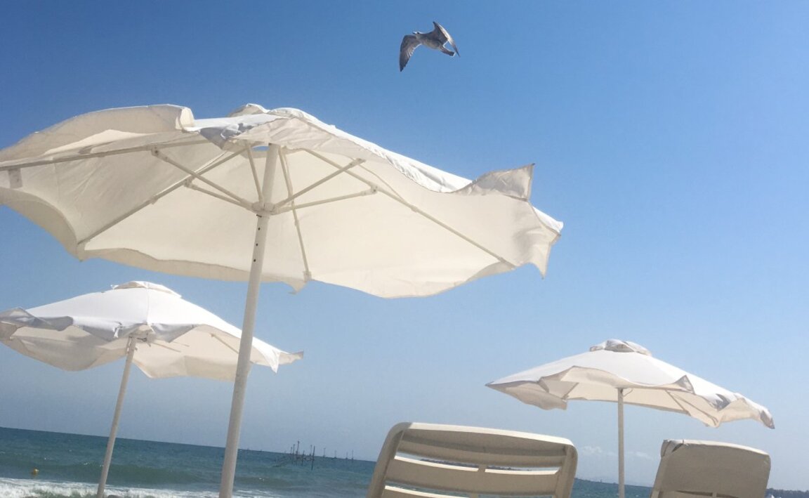 Otelciler 2024’te daha fazla turist bekliyor