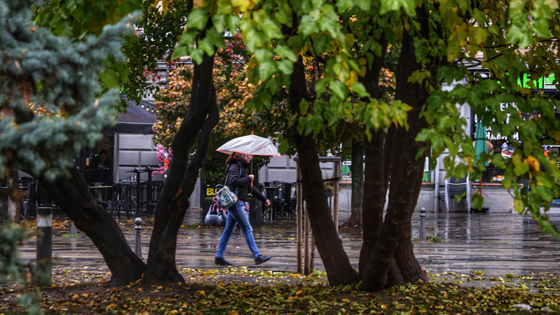 прогноза за времето, есен, дъжд, чадър