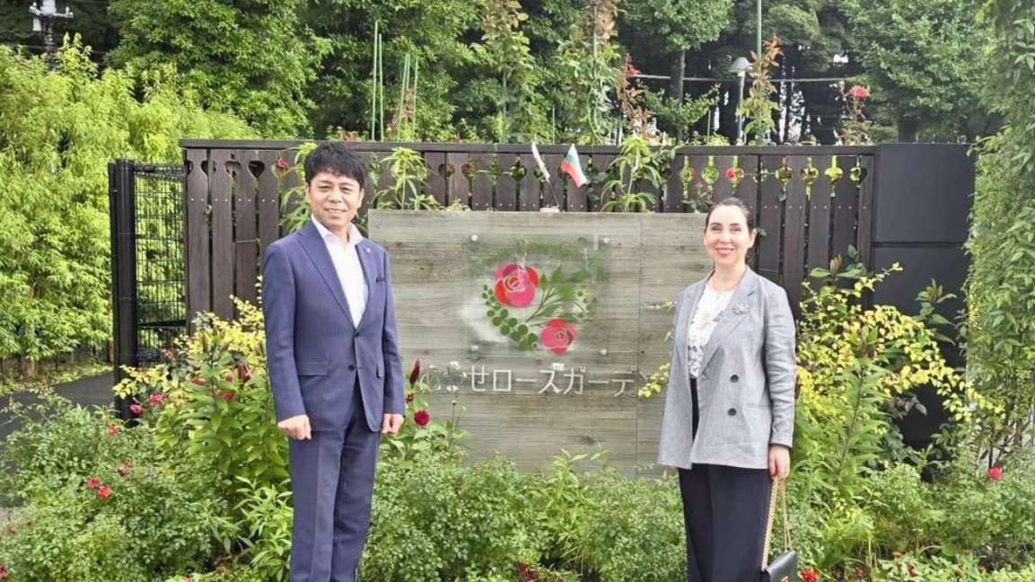 Bulgar gülü, Japonya'nın Ayase şehrindeki gül bahçesini süslüyor