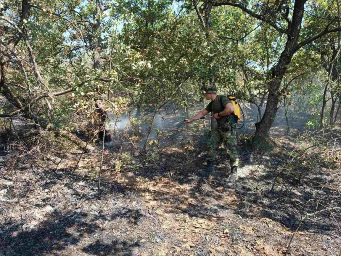 И днес военни участват в потушаване на пожари в страната