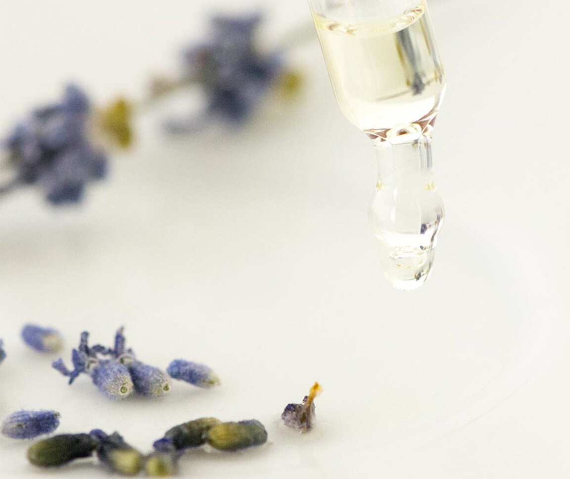 Родна компания е сред водещите в производството на лавандулово масло у нас