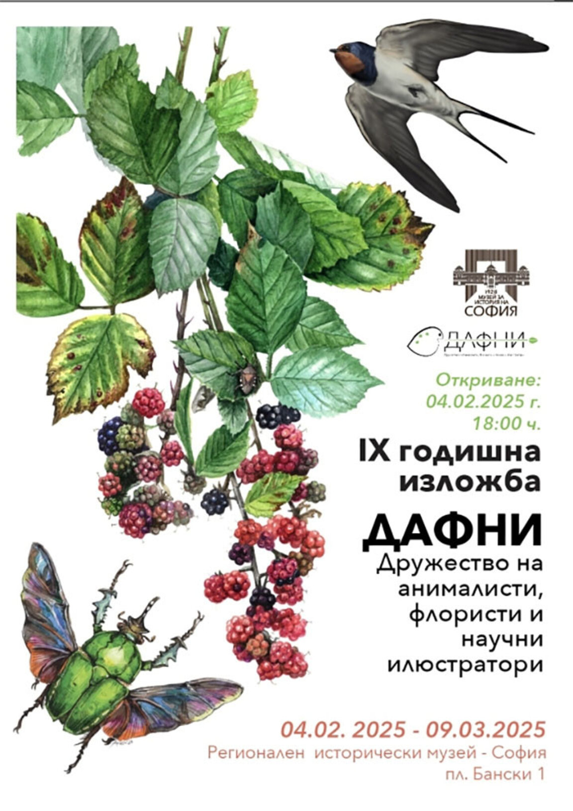 В Музея на София откриват изложба с нарисувана флора и фауна