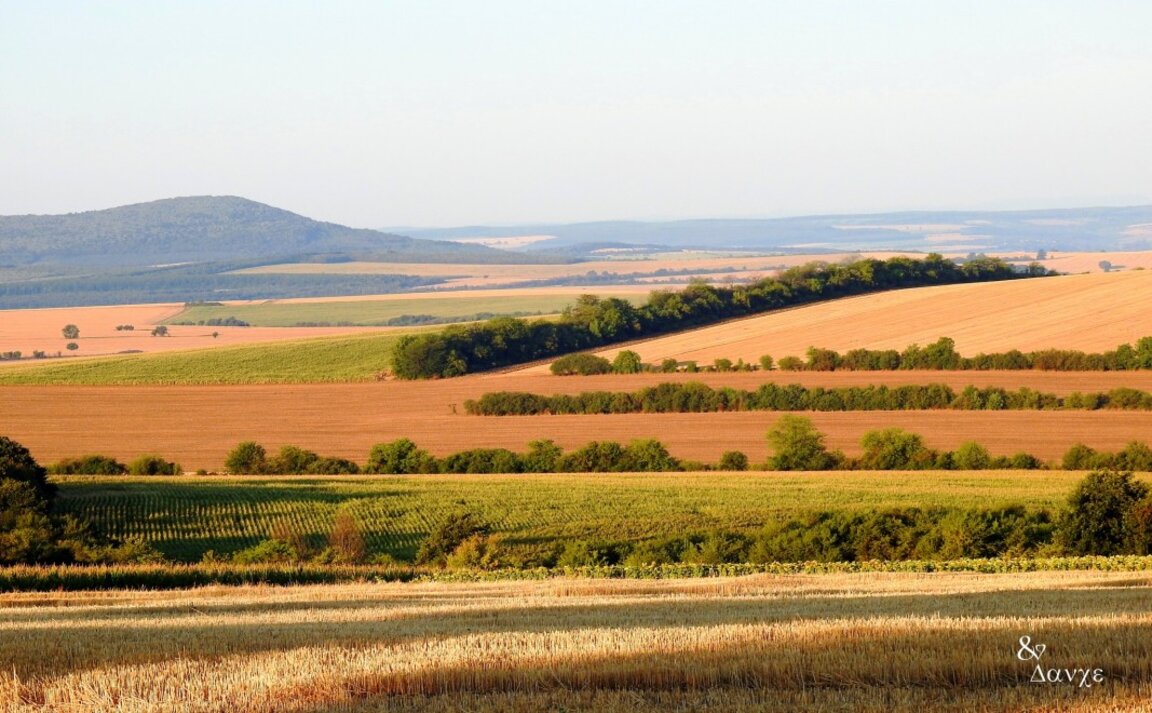 Tarım Üreticilerinin 11. Ulusal Buluşması Mart 2025’te düzenlenecek