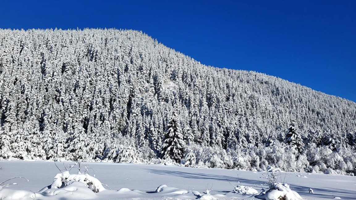Турист е починал в района на Мальовица