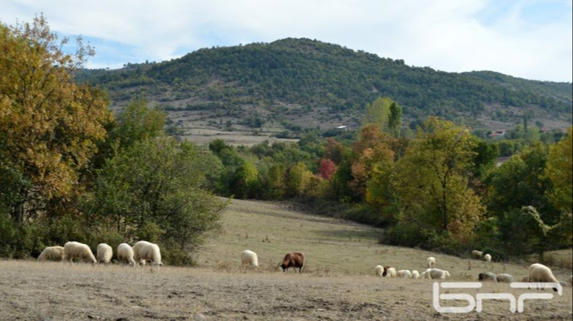 Облачно време над Родопите
