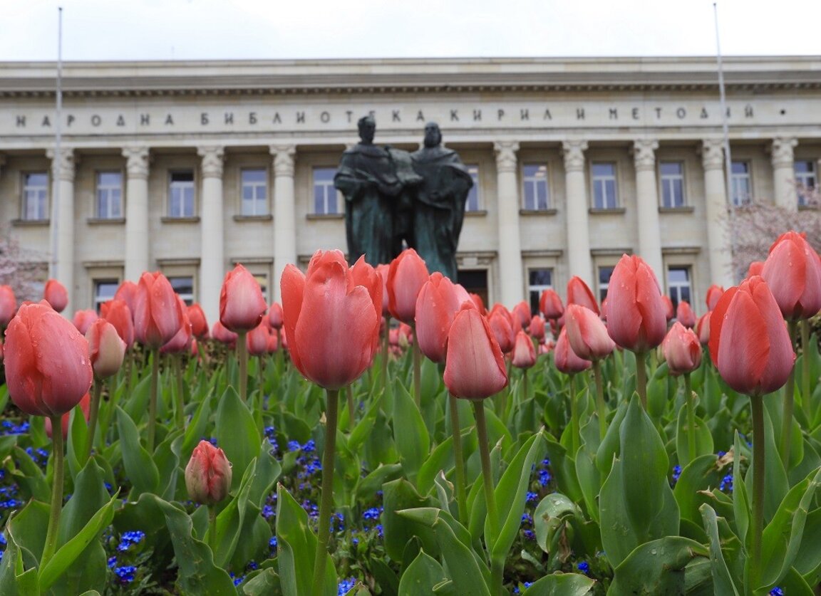 La Comisión de Cultura del Parlamento no cambia el nombre de la Biblioteca Nacional