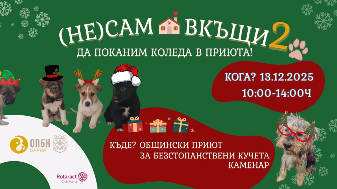 Приютът в Каменар с коледна акция и тази година