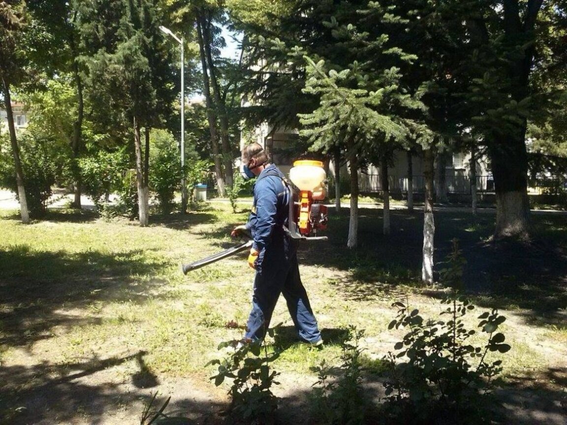 Продължава обработката срещу вредители във Варна (ГРАФИК)