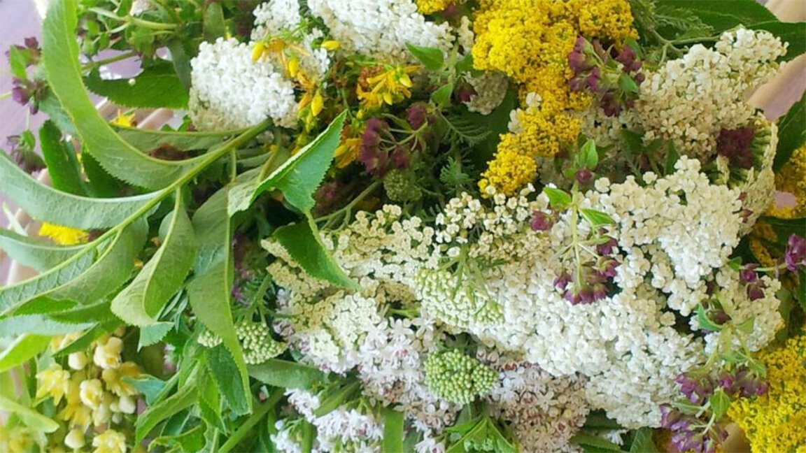 Bulgaria celebrates Midsummer's Day