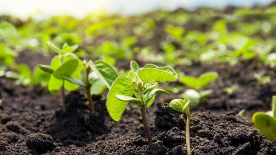 EU stellt 7,4 Millionen Euro Soforthilfe für bulgarische Landwirte bereit