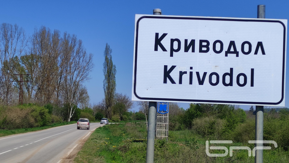 община Криводол избори 2026 г.