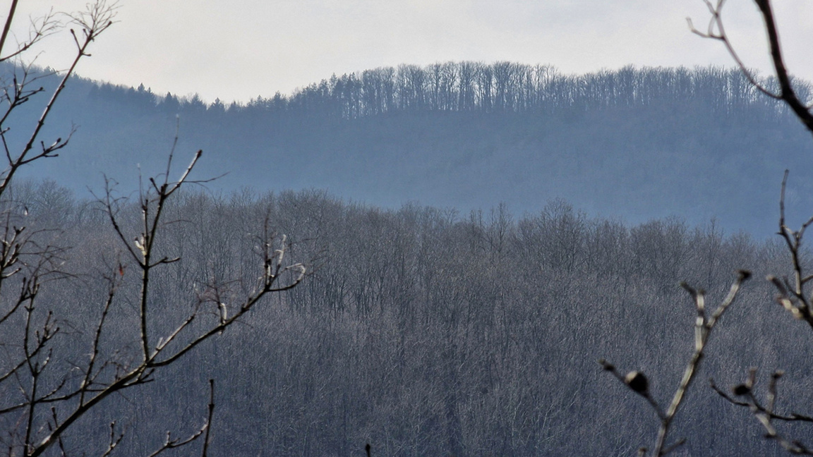 Frosty morning with temperatures rising during the day, no precipitation