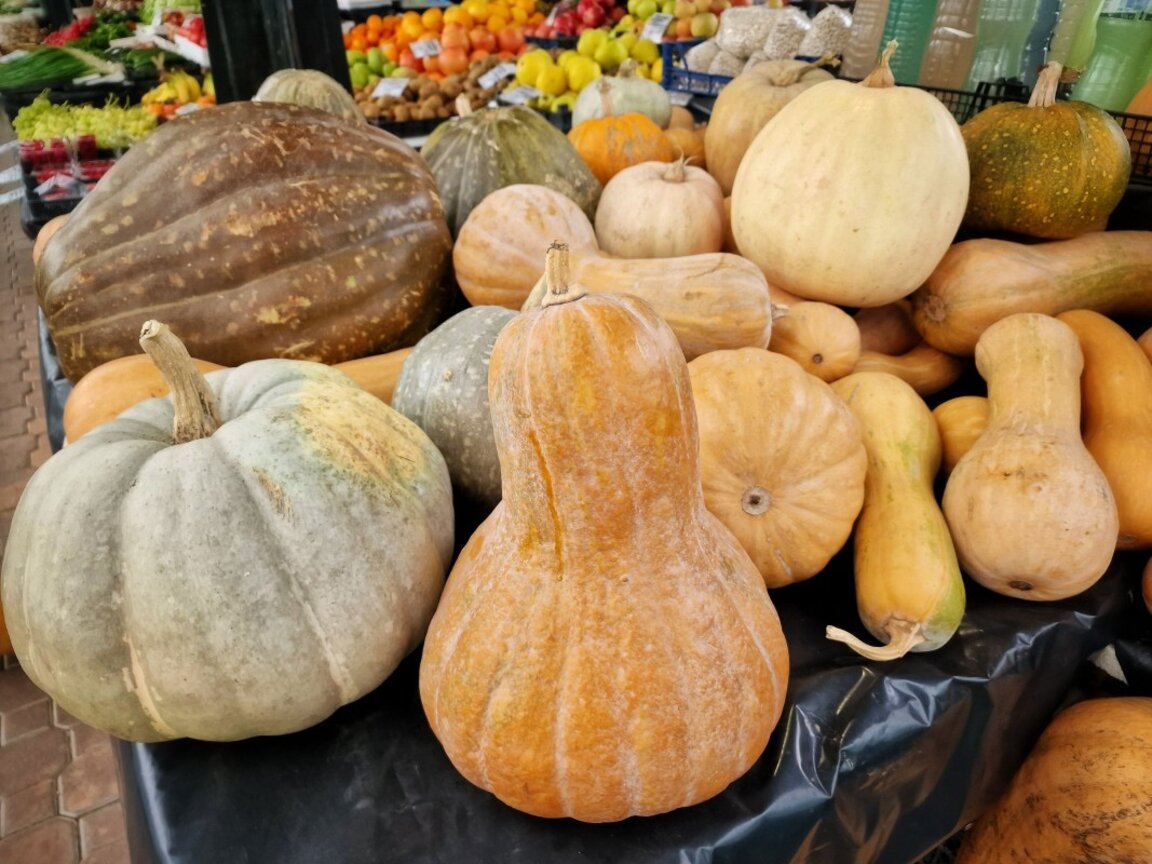 Solemn concert and Dobrudzha Pumpkin Festival held in Stefanovo village