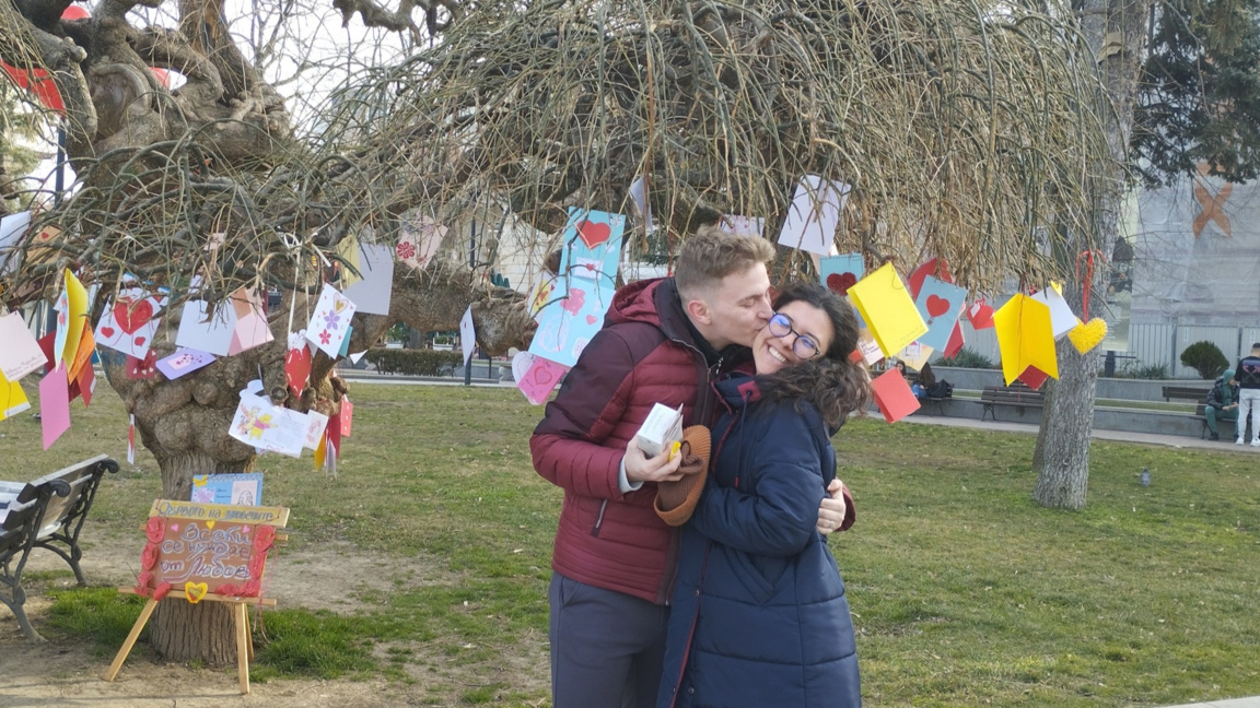 Дърво на влюбените в Русе