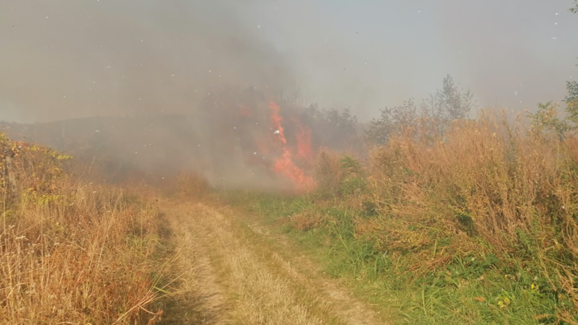 Пожар гори край село Българска поляна в област Хасково