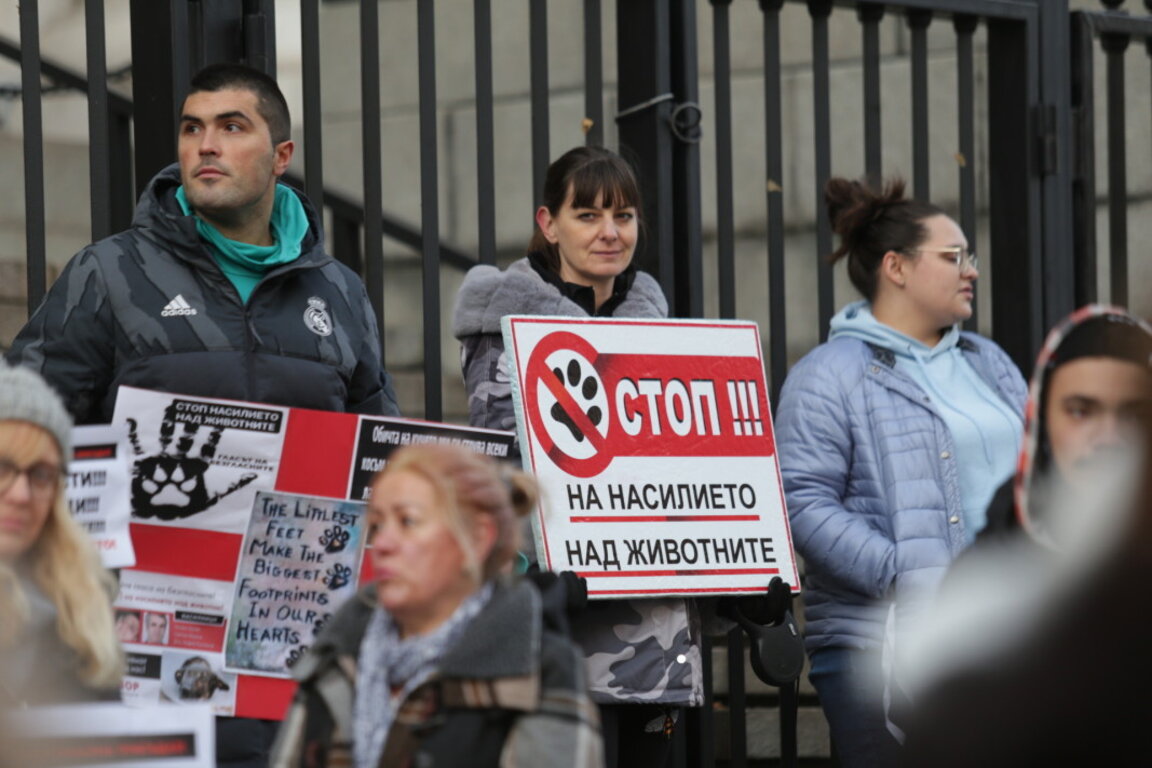 MEP Emil Radev organizes international conference against animal cruelty