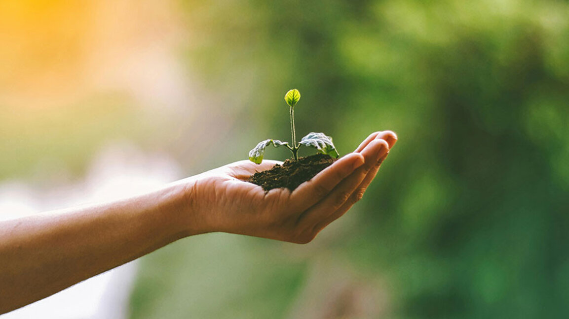 Природно земеделие – епизод 1: Биодинамично земеделие