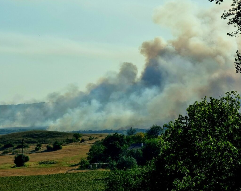 Мъж е задържан по подозрение в палеж