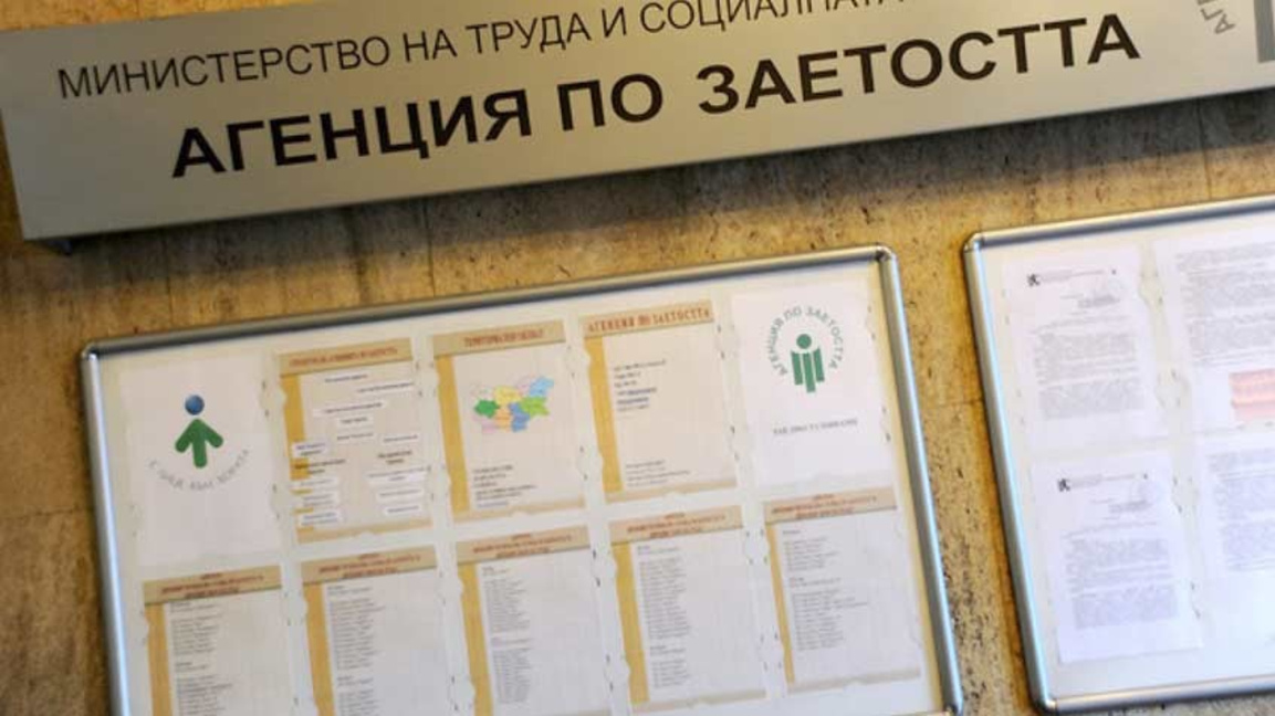 Шофьори, продавачи, оператори на машини - сред най-търсените професии