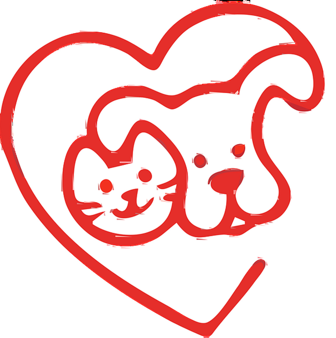 Най-щурите истории с моя домашен любимец...